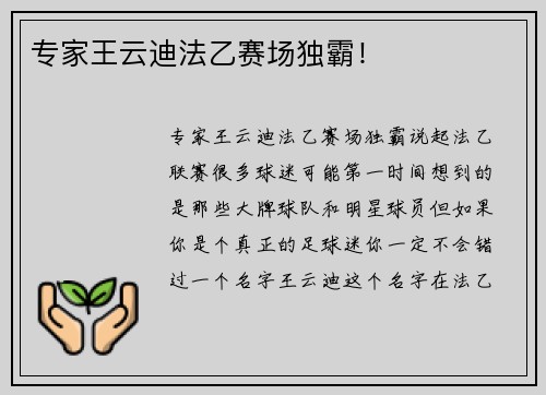 专家王云迪法乙赛场独霸！