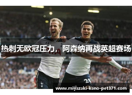 热刺无欧冠压力，阿森纳再战英超赛场