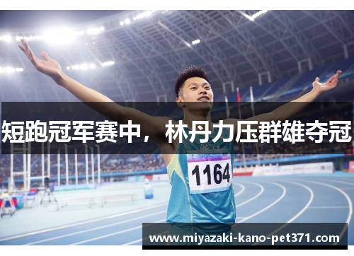 短跑冠军赛中，林丹力压群雄夺冠