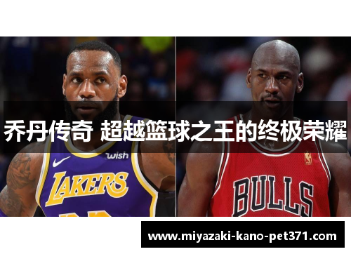 乔丹传奇 超越篮球之王的终极荣耀